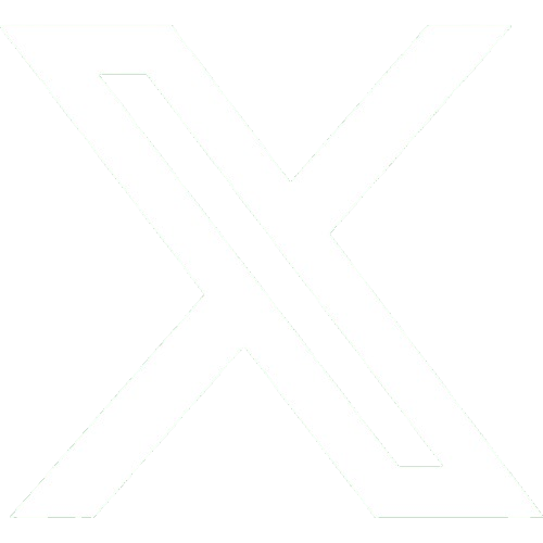 x icon